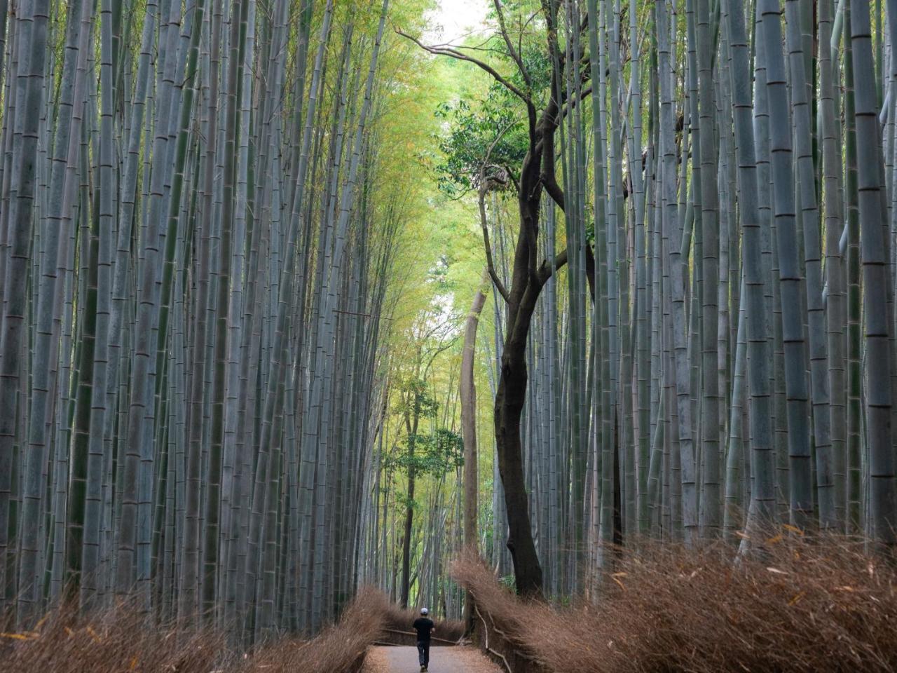 Stay Marutamachi Kyoto Exteriör bild