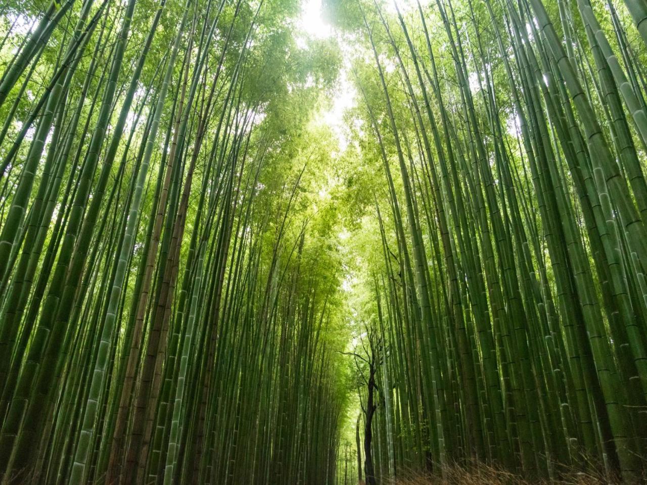 Stay Marutamachi Kyoto Exteriör bild
